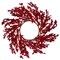 Northlight 22" Festive Red Berries Artificial Christmas Wreath - Unlit